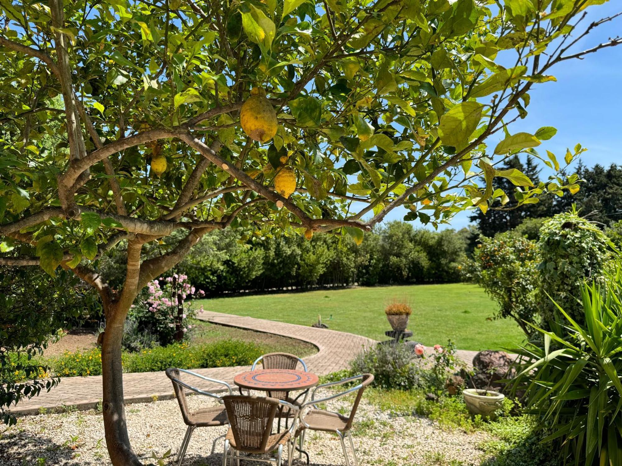 L'Orto Villa San Vero Milis Exterior foto